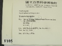 登錄號:F0010549藏品圖，第2張