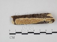 登錄號:F0010550藏品圖，第1張