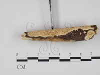 登錄號:F0010550藏品圖，第3張