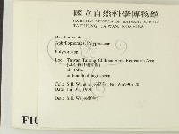 多孔菌屬藏品圖，第2張