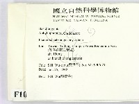 登錄號:F0010553藏品圖，第2張