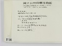 登錄號:F0010554藏品圖，第2張