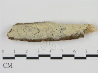 登錄號:F0010554藏品圖，第1張