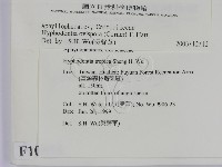 登錄號:F0010555藏品圖，第2張