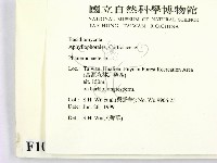 顯絲菌屬藏品圖，第2張