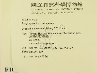 登錄號:F0010559藏品圖，第2張