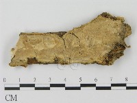 登錄號:F0010559藏品圖，第1張