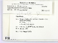 登錄號:F0010560藏品圖，第2張