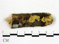 登錄號:F0010560藏品圖，第1張