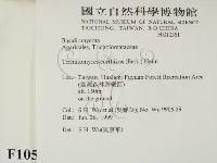 登錄號:F0010561藏品圖，第2張