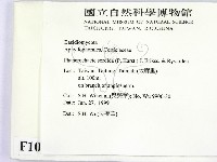 登錄號:F0010562藏品圖，第2張