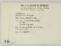 登錄號:F0010564藏品圖，第2張