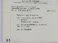 登錄號:F0010566藏品圖，第2張