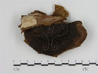 登錄號:F0010567藏品圖，第3張