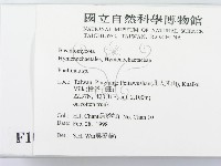 木層孔菌屬藏品圖，第2張