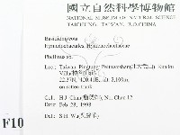 木層孔菌屬藏品圖，第2張