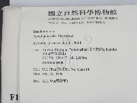 登錄號:F0010571藏品圖，第2張