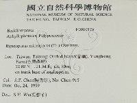 登錄號:F0010575藏品圖，第2張