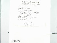 登錄號:F0010575藏品圖，第3張