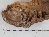 登錄號:F0010575藏品圖，第4張