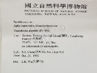 登錄號:F0010576藏品圖，第2張