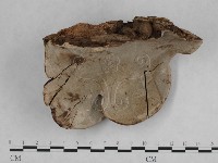 登錄號:F0010576藏品圖，第1張