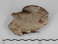 登錄號:F0010576藏品圖，第4張