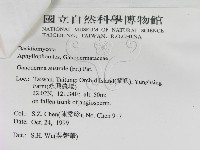 登錄號:F0010577藏品圖，第3張