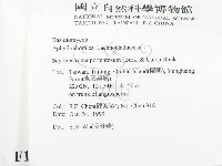 登錄號:F0010578藏品圖，第2張