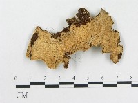 登錄號:F0010578藏品圖，第3張