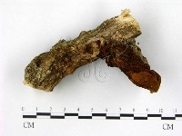 登錄號:F0010579藏品圖，第4張