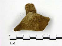 毛木耳藏品圖，第3張