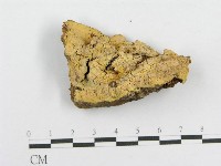 登錄號:F0010582藏品圖，第1張