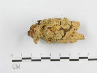 登錄號:F0010582藏品圖，第3張