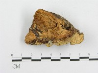 登錄號:F0010582藏品圖，第4張