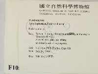 登錄號:F0010583藏品圖，第2張