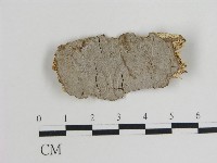 登錄號:F0010588藏品圖，第1張