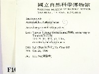 毛木耳藏品圖，第2張