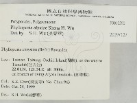 登錄號:F0010590藏品圖，第2張