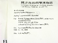 登錄號:F0010591藏品圖，第2張