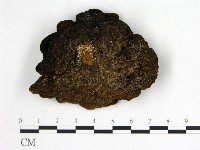 登錄號:F0010591藏品圖，第3張