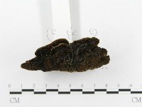 登錄號:F0010591藏品圖，第4張