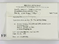 登錄號:F0010592藏品圖，第2張