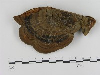 登錄號:F0010592藏品圖，第1張