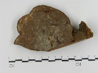 登錄號:F0010592藏品圖，第4張