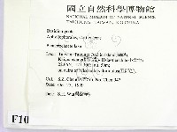 登錄號:F0010593藏品圖，第2張