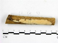 登錄號:F0010593藏品圖，第1張
