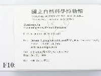 登錄號:F0010595藏品圖，第2張