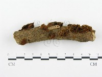 登錄號:F0010595藏品圖，第3張