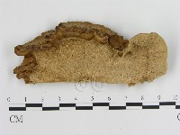 登錄號:F0010596藏品圖，第3張